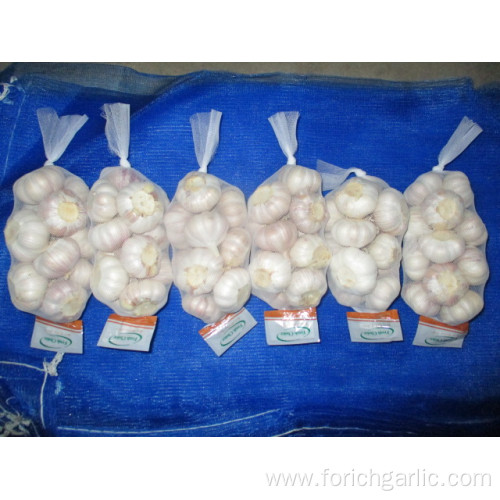 Jinxiang Normal White Garlic Crop 2019